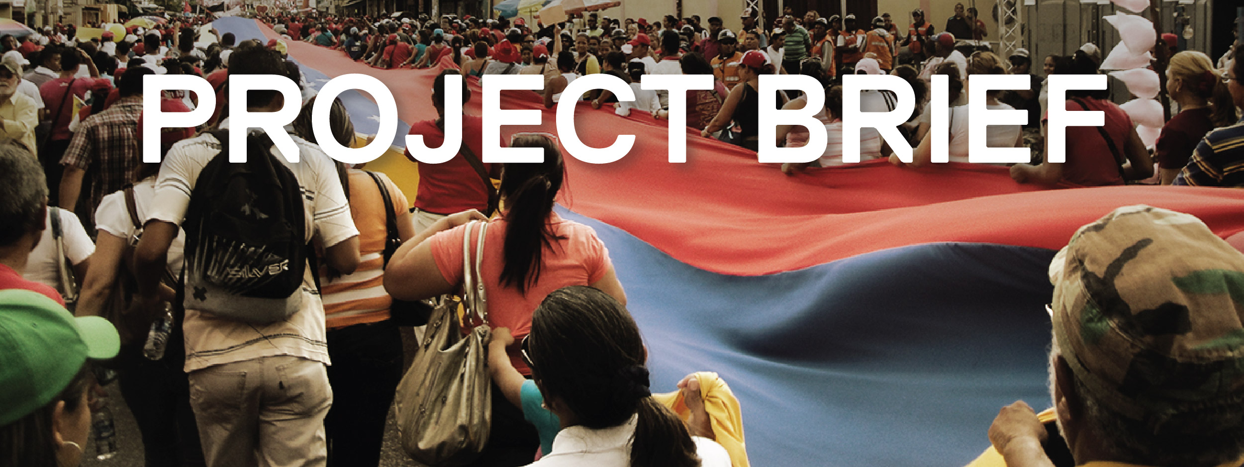 Crowd carrying a large flag of Venezuela down a street
