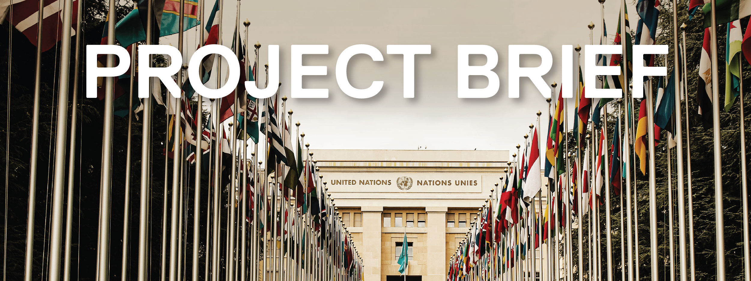Flag-lined walkway up to the United Nations building