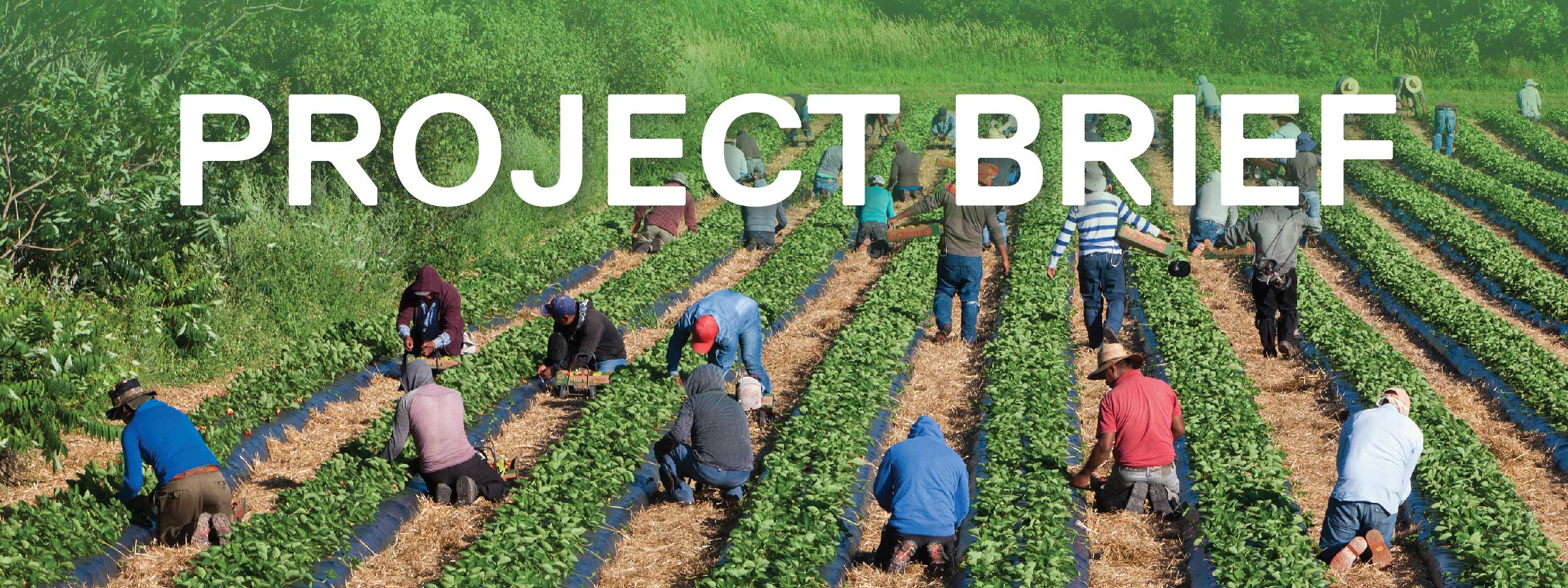 Enterprise Bridge: Fostering immigrant economic integration banner
