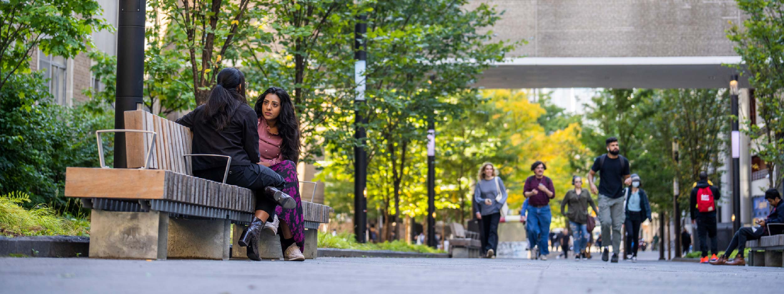 Nelson Mandela Walk on TMU campus