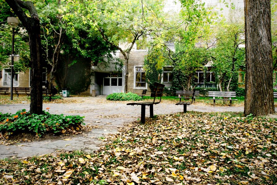 photo of quad at TMU