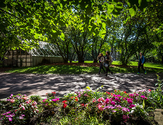 Bright spring day on in the TMU Quad, students walk on a path, pink flowers in the foreground. 