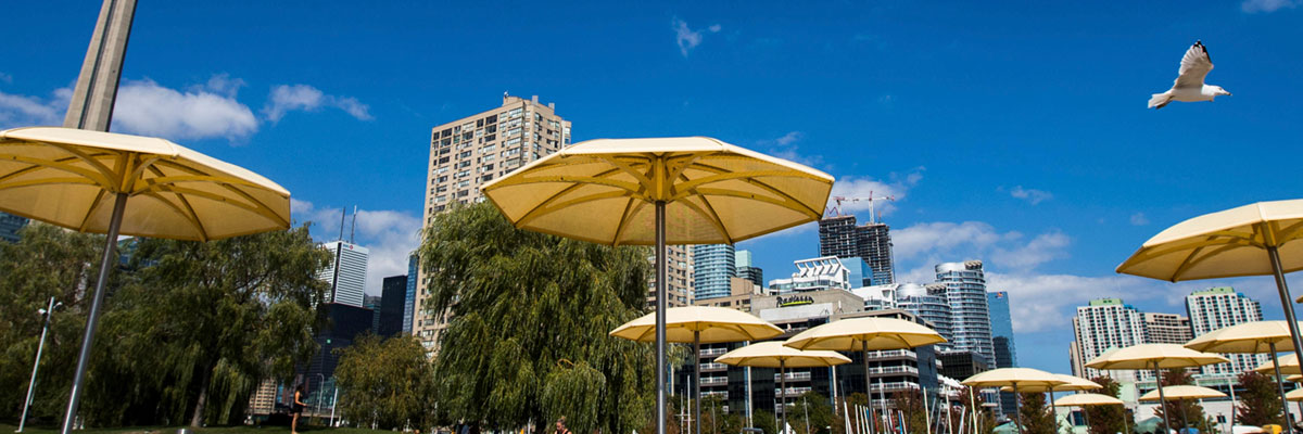 Umbrellas at H20 Park on Toronto's waterfront.