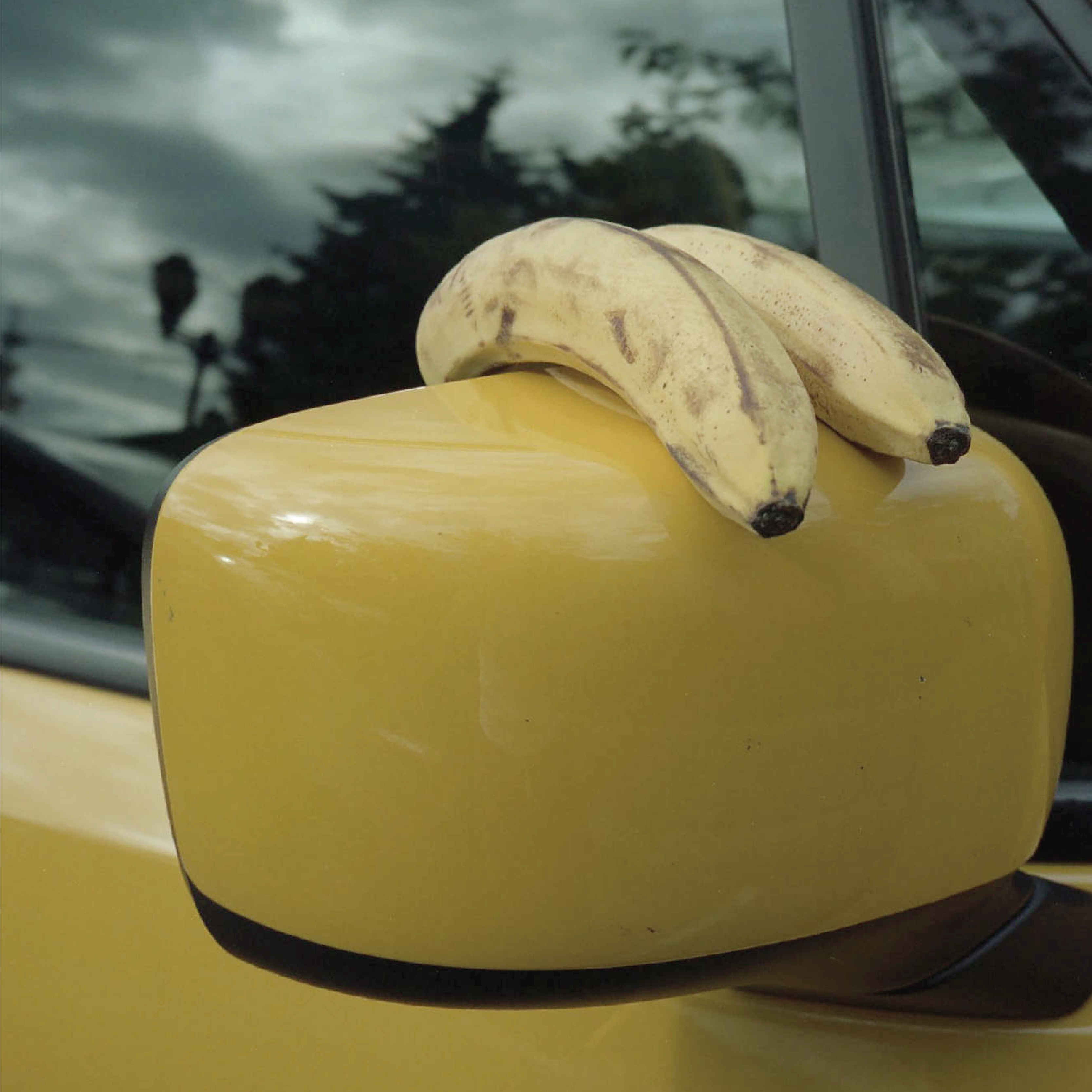 Bananas resting on a yellow car mirror, example of student photography