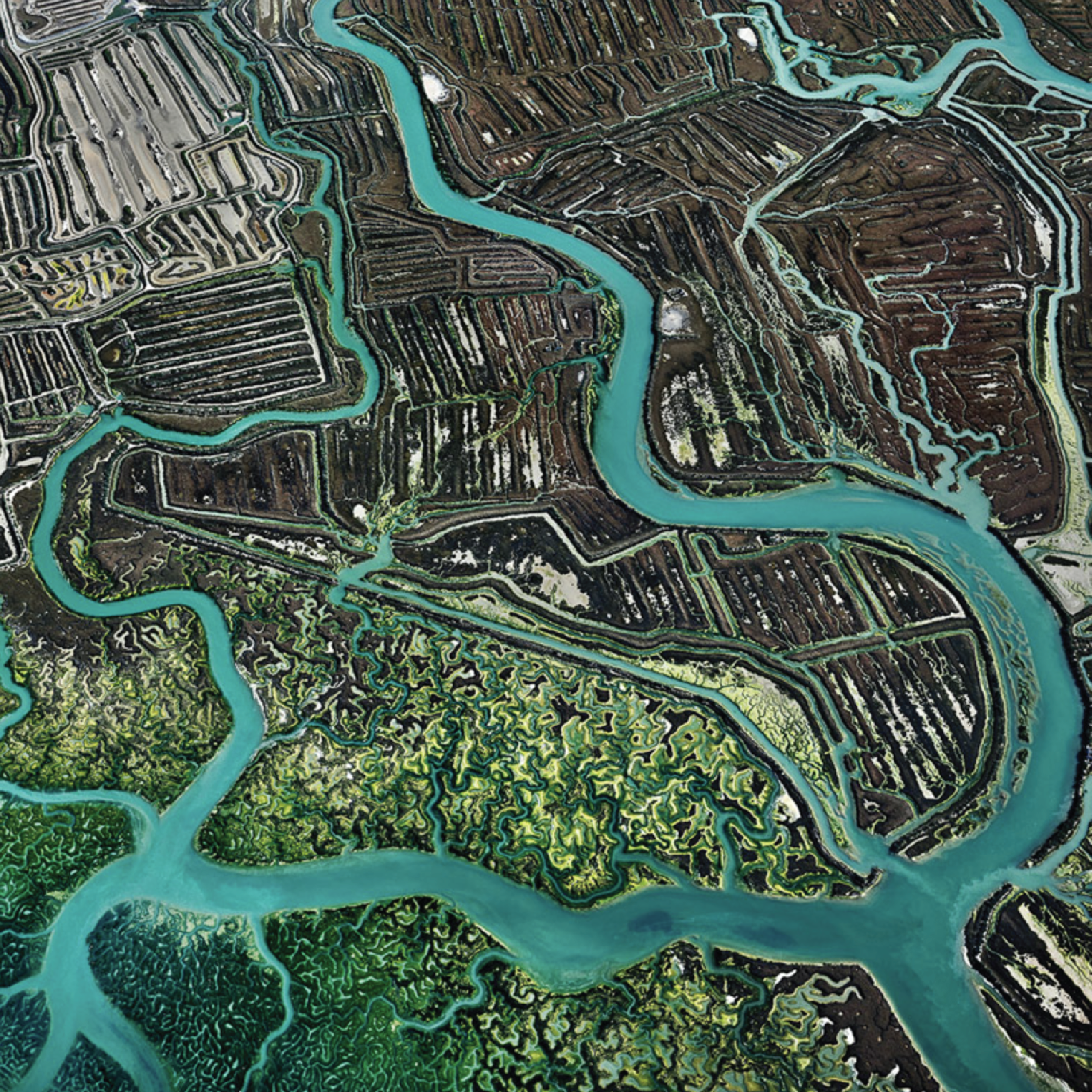 Aerial view of a natural landscape with rivers and agricultural land