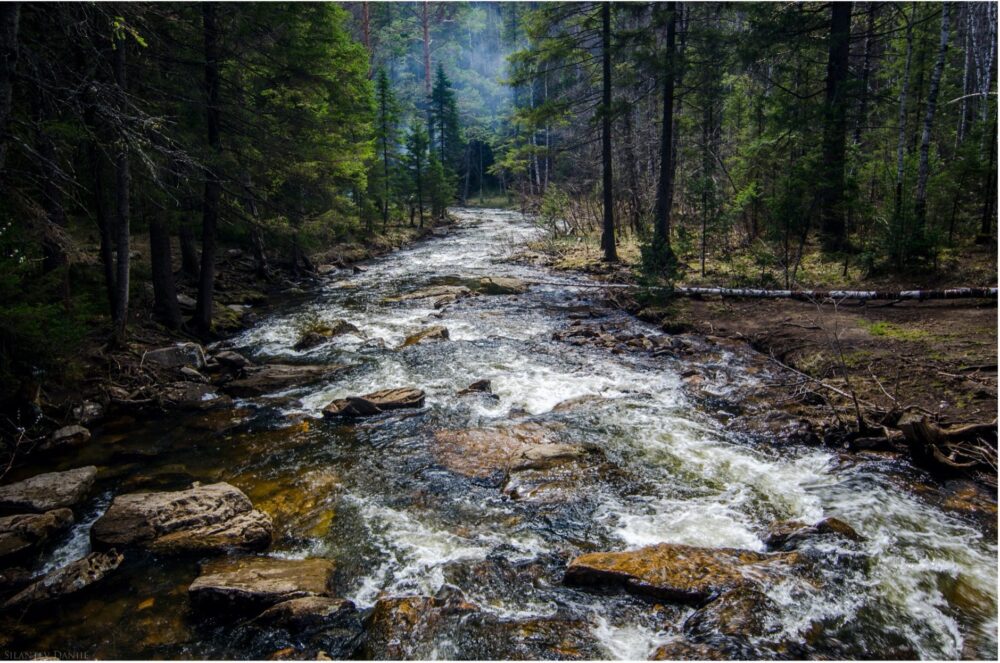 A natural flowing river between trees.