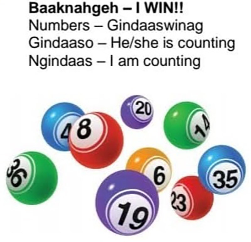 bingo balls numbers gindasswinag, gindaaso - he she is counting ngindaas- i am counting