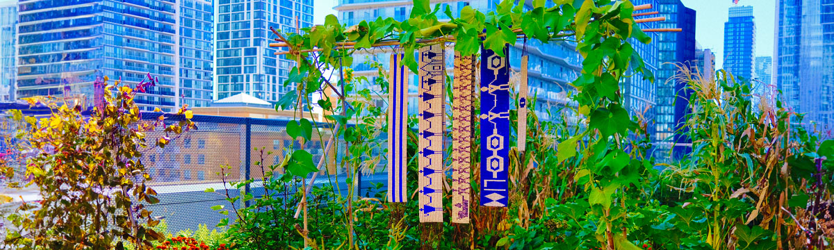 Four wampum belts hanging from a wooden trellis amongst greenery on the Urban Farm on the rooftop of the DCC. 