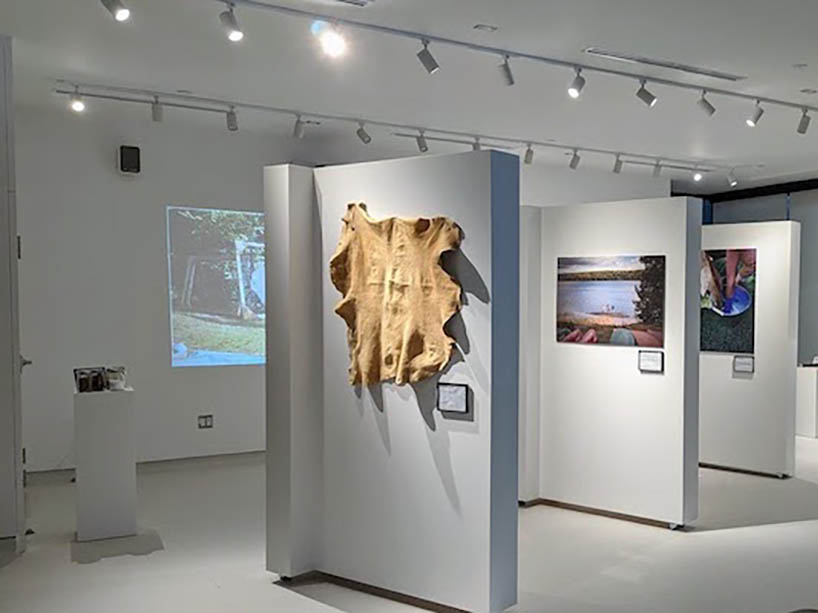 A gallery wall with a hide hanging on it