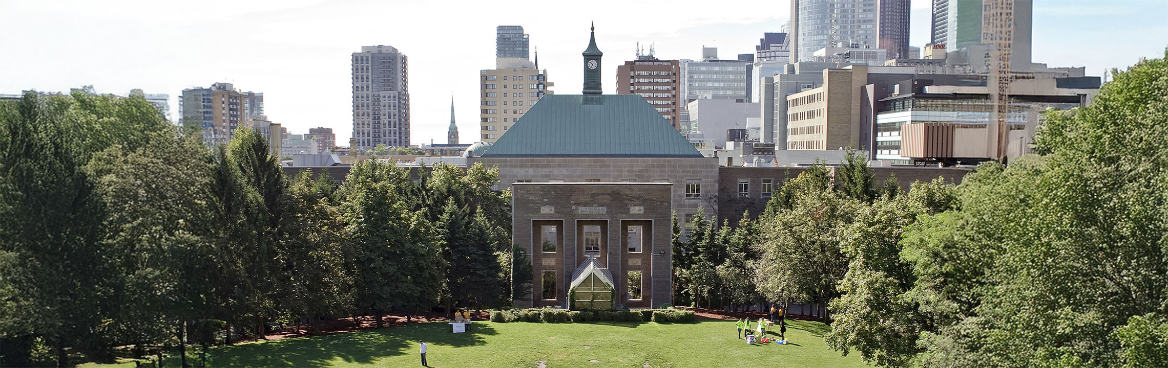 TMU quad in the fall