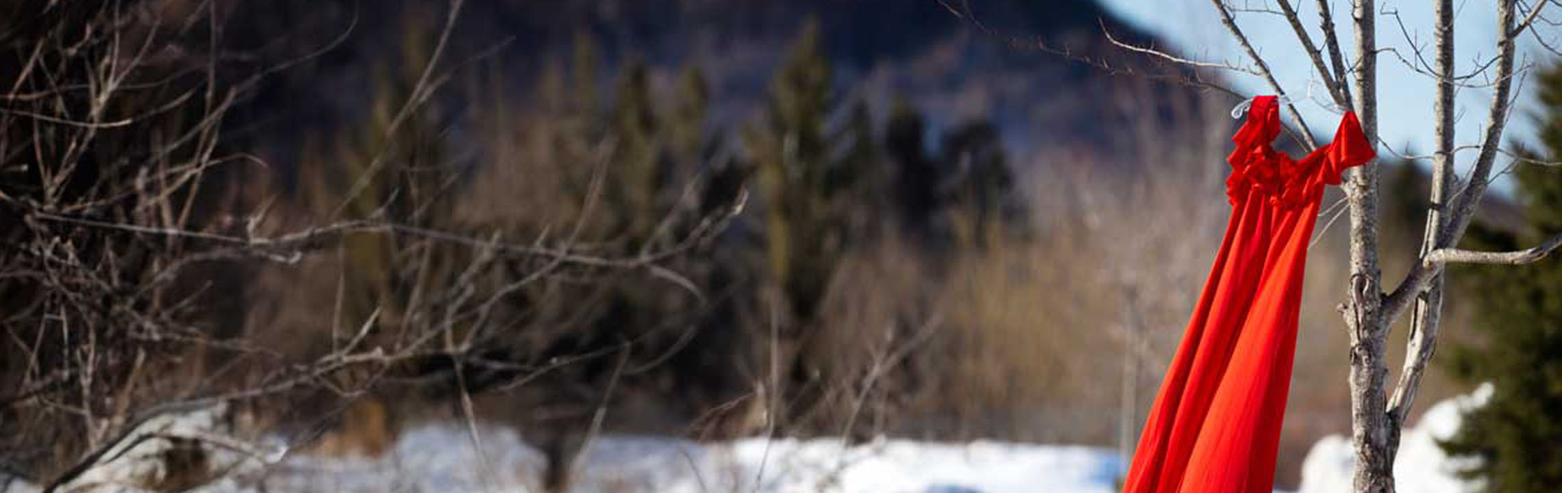 red dress hanging from a tree on a snowy day