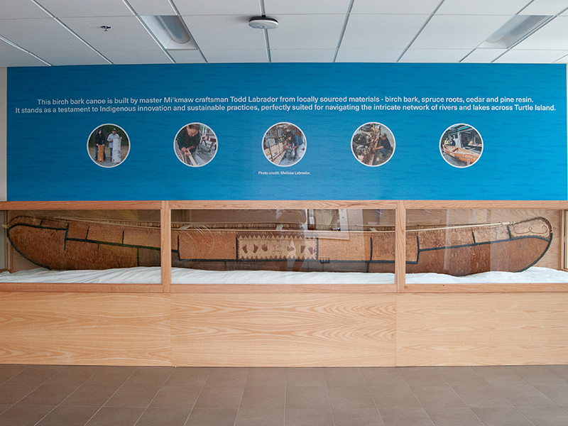  A canoe made out of Birch Bark on green grass