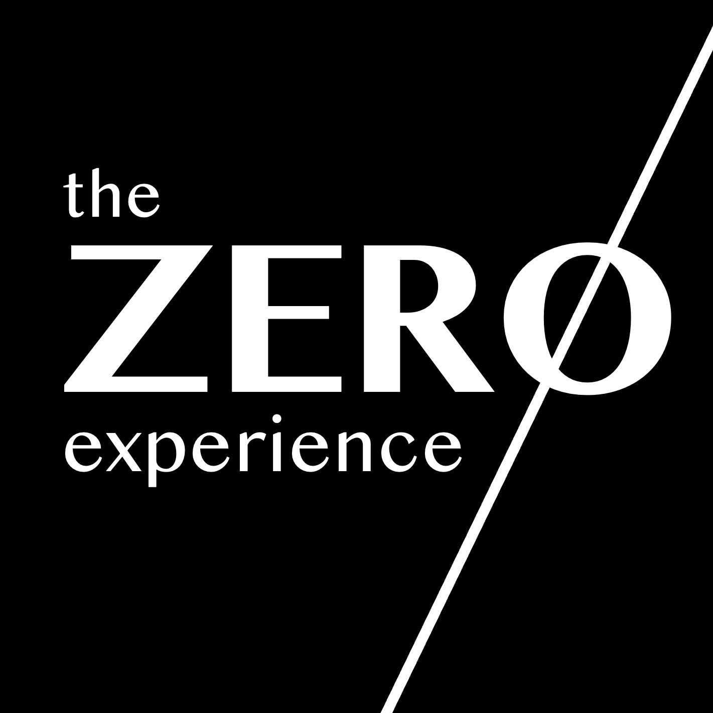 Zero Experience Program