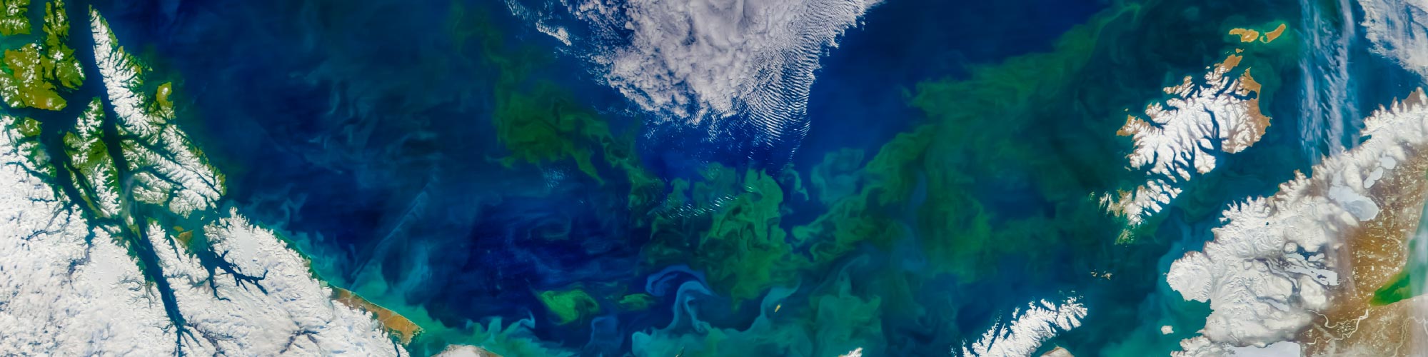 A satellite image of the Gulf of Alaska, showing bright green and turquoise swirls of a phytoplankton bloom hugging the snow-covered southern coast of Alaska