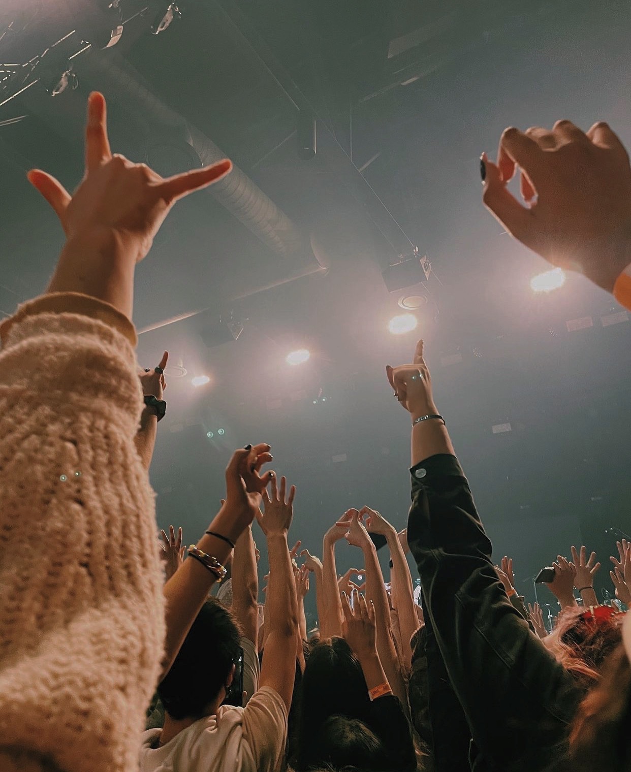 Fans at a concert with their hands up, cheering