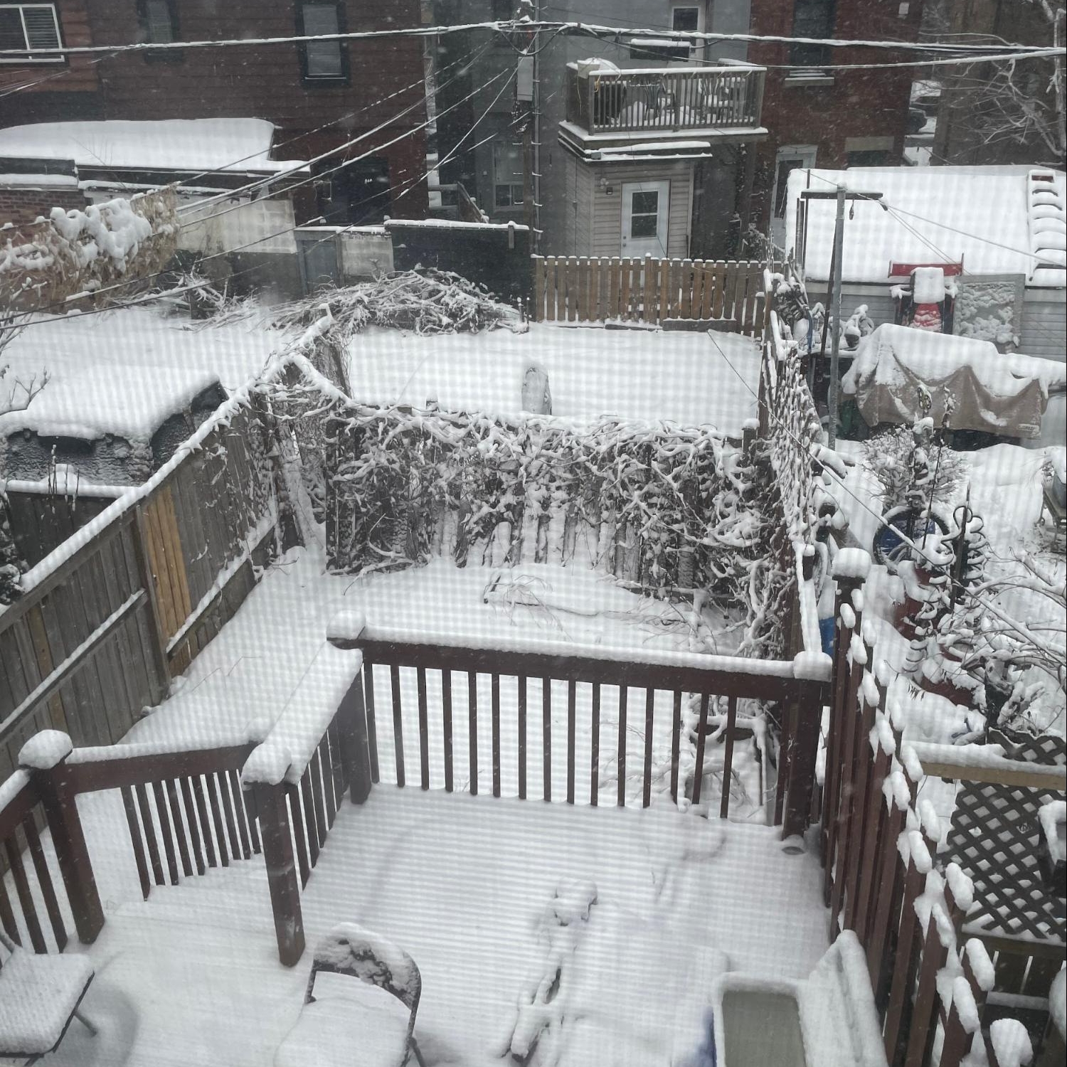 Winter in Toronto
