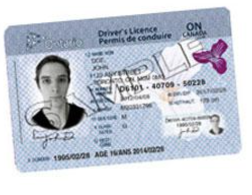 Drivers License
