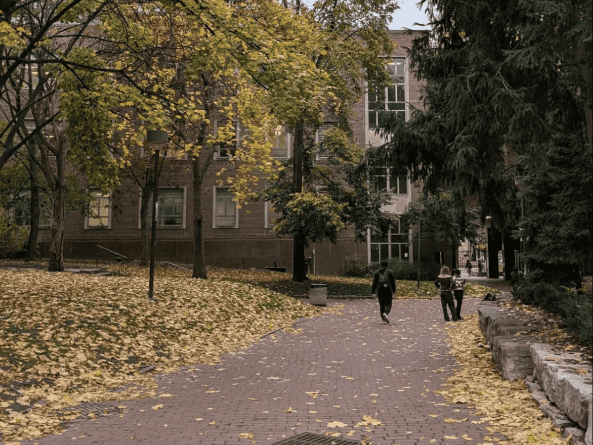 Leaves scattered on the ground in the TMU quad during autumn.