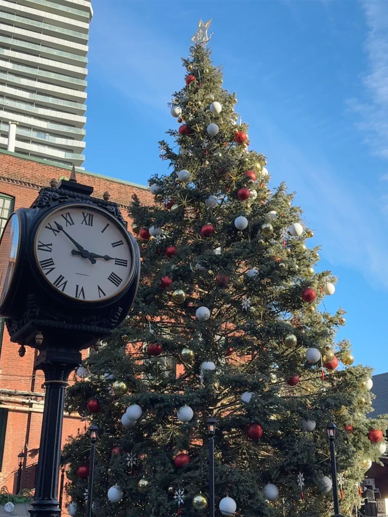 Chrismas tree at the outdoor christmas market in Toronto Distilliry District