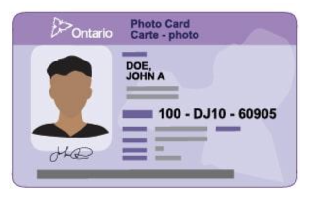 Identification card sample