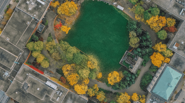 Visiting Toronto? Come to our fall Open House! Aerial shot of TMU's Quad during the fall.
