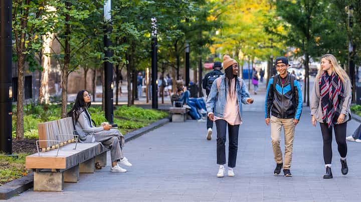 Start the virtual tour. Students walking down a tree-lined Gould Street on the TMU campus.