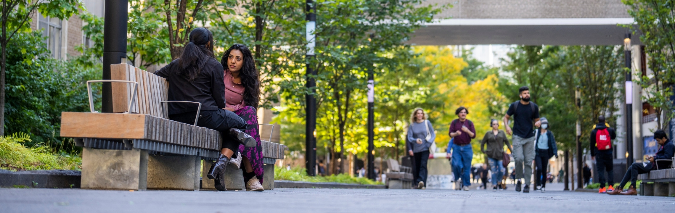 Hosting International Visiting Researchers Banner