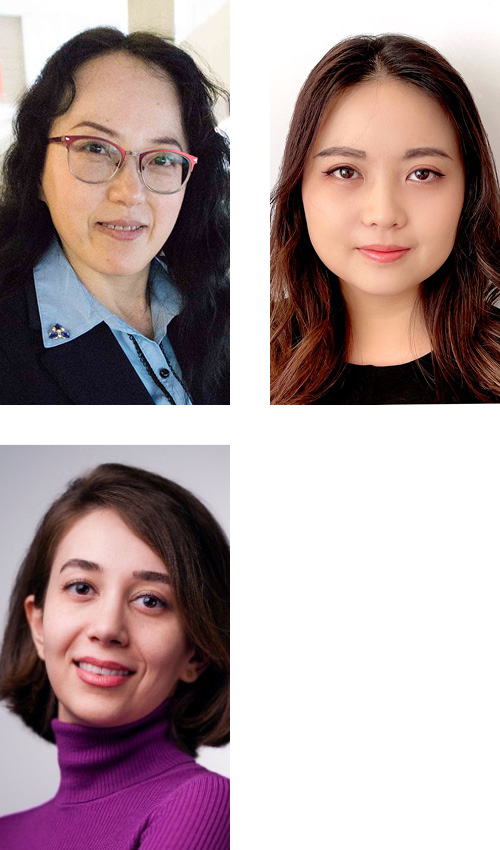 Lin Dong, Nancy Yang, Armita Sadeghian-Barzoki..