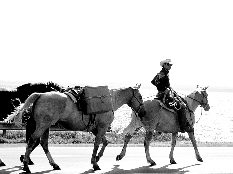Filipe Masetti Leite and two of his horses. 