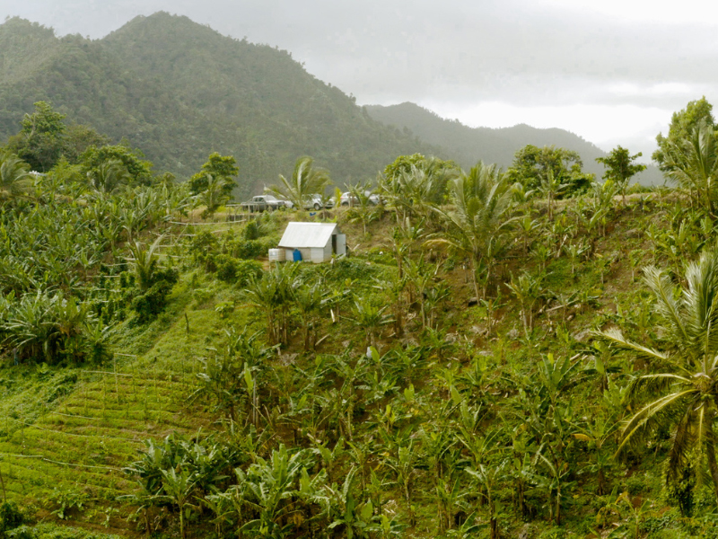 Newsletter Oct 2 - 7