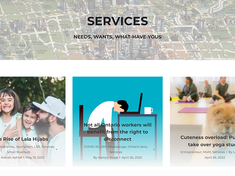 A screen shot of the Services section of the T. Dot website. 