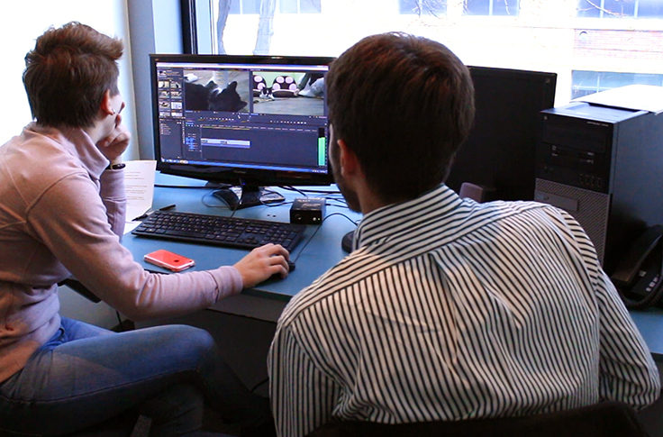 Video editing Suits