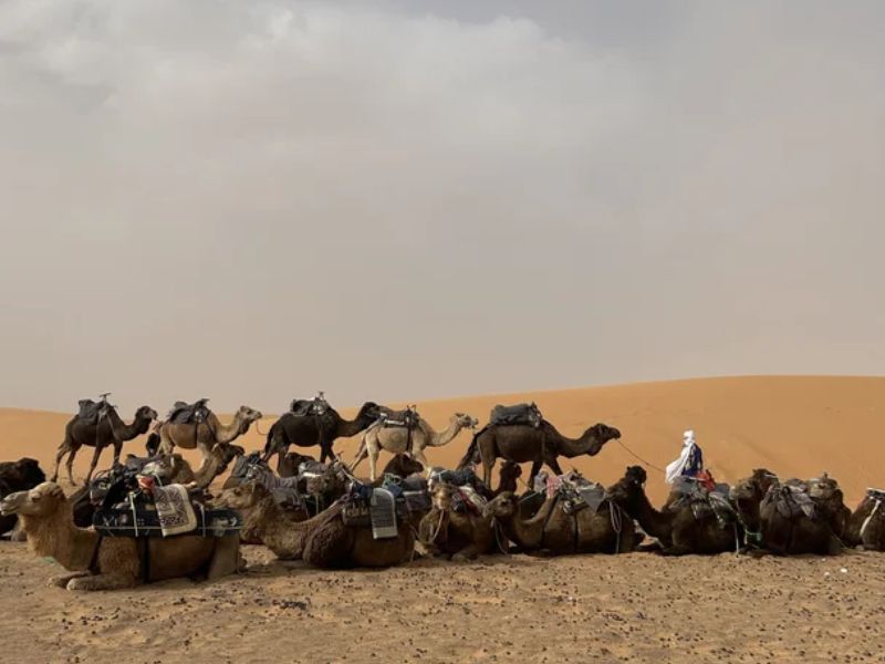 Top Stories of Fall 2024 - 30