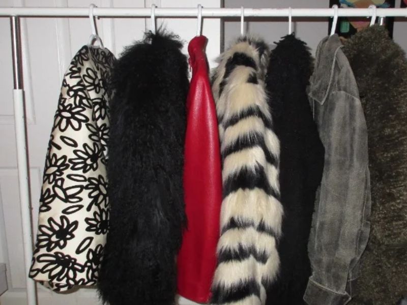 Top Stories of Fall 2024 - 31