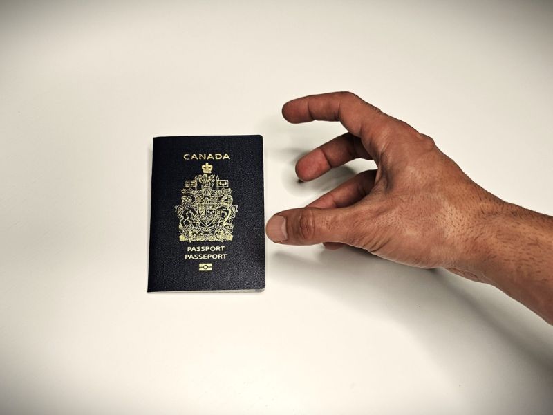 Top Stories of Fall 2024 - 35