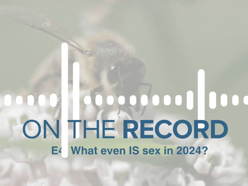 Top Stories of Fall 2024 - 37