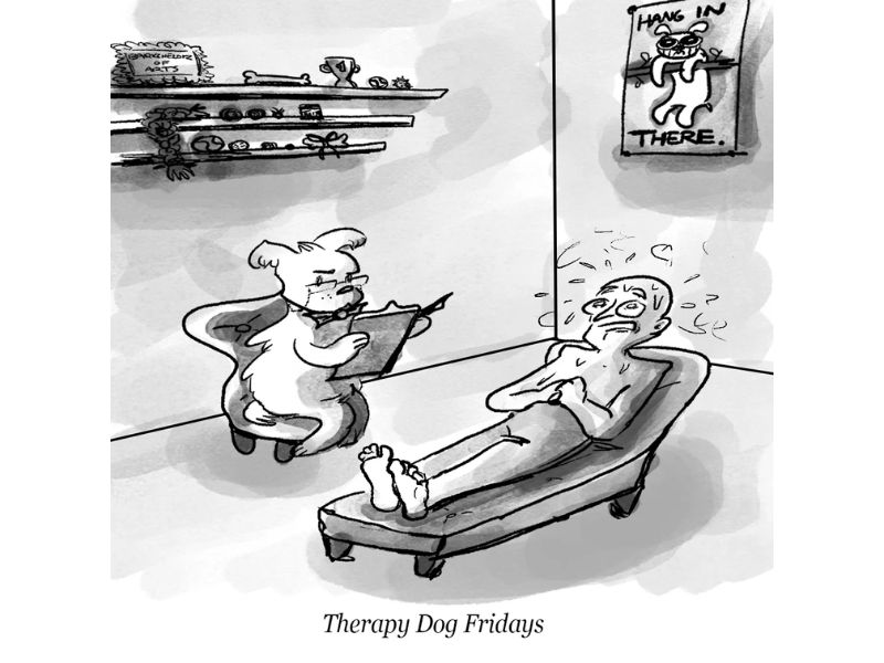 Top Stories of Fall 2024 - 4