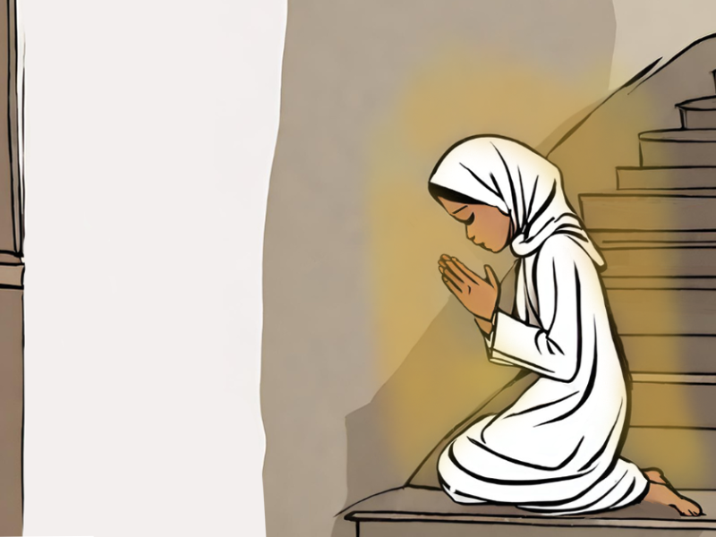 The Otter Fall 2024 stories - 4