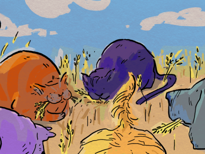 The Otter Fall 2024 stories - 6