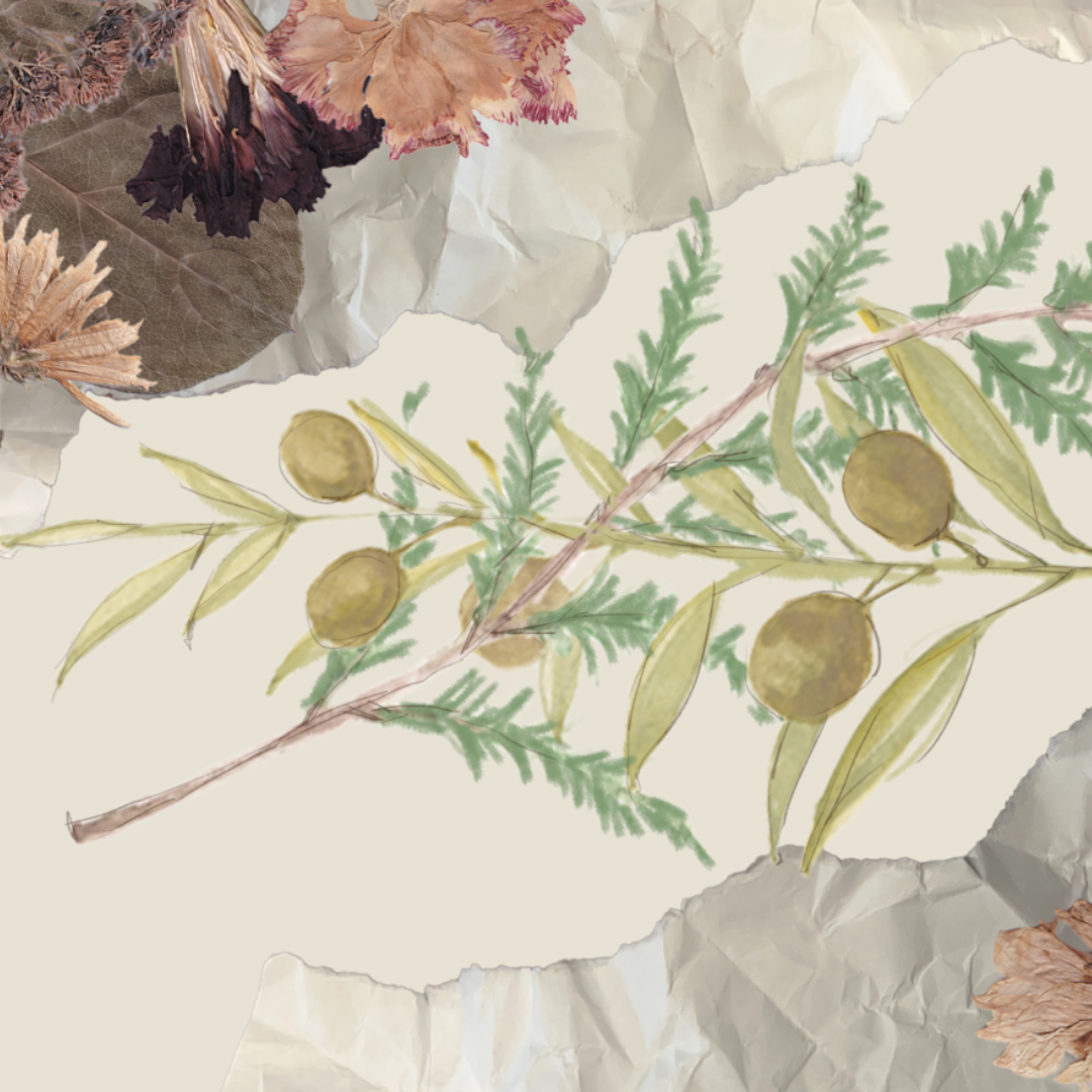 Untitled design - Eye6