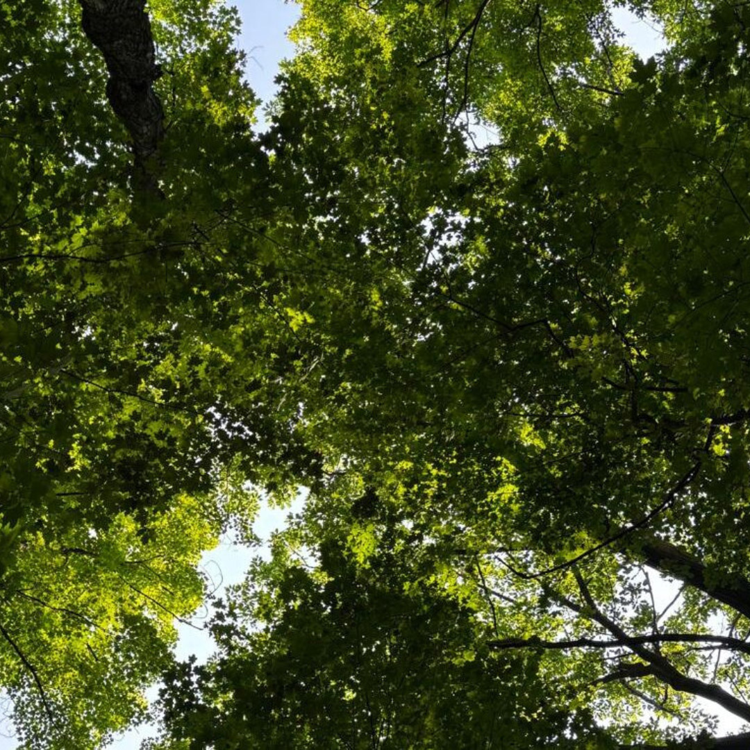 Untitled design - OTR3