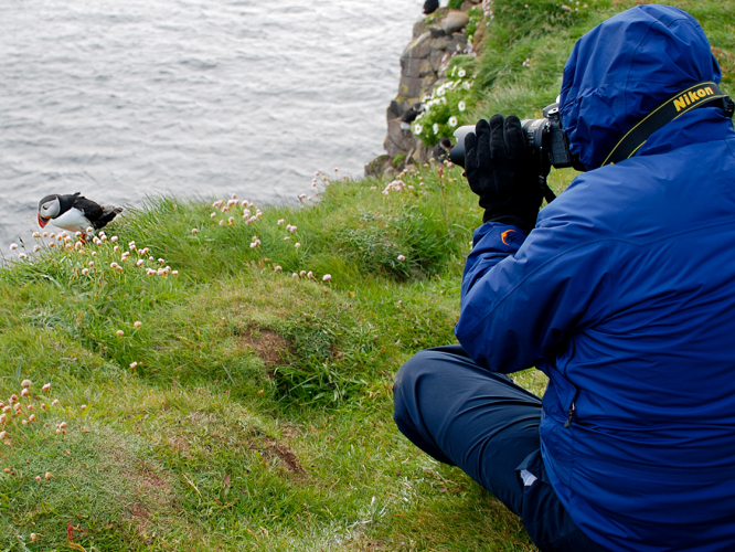 Person photographing an animal.