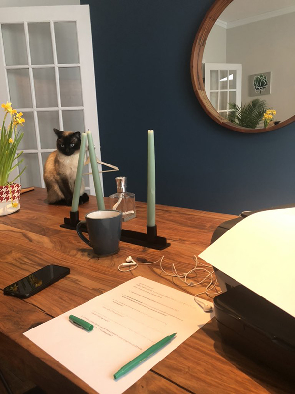 Jeyan Jegnathan’s cat, Rufus, once distracted an interviewee with his meowing (Jeyan Jeganathan/Twitter).