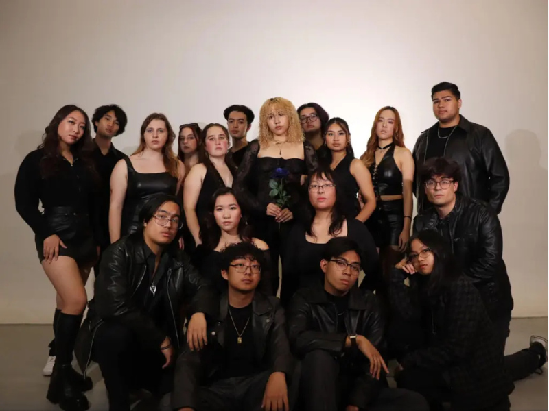Top Student Work website - PitchPerfect