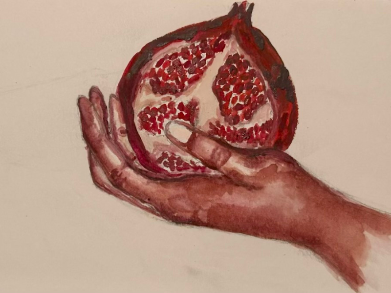 Top Student Work website - Pomegranates