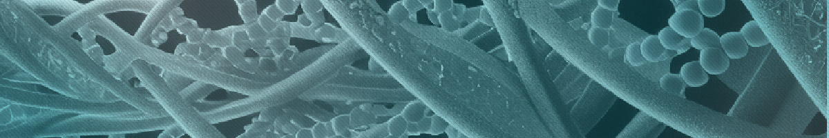 Health Law and Innovation Group Banner