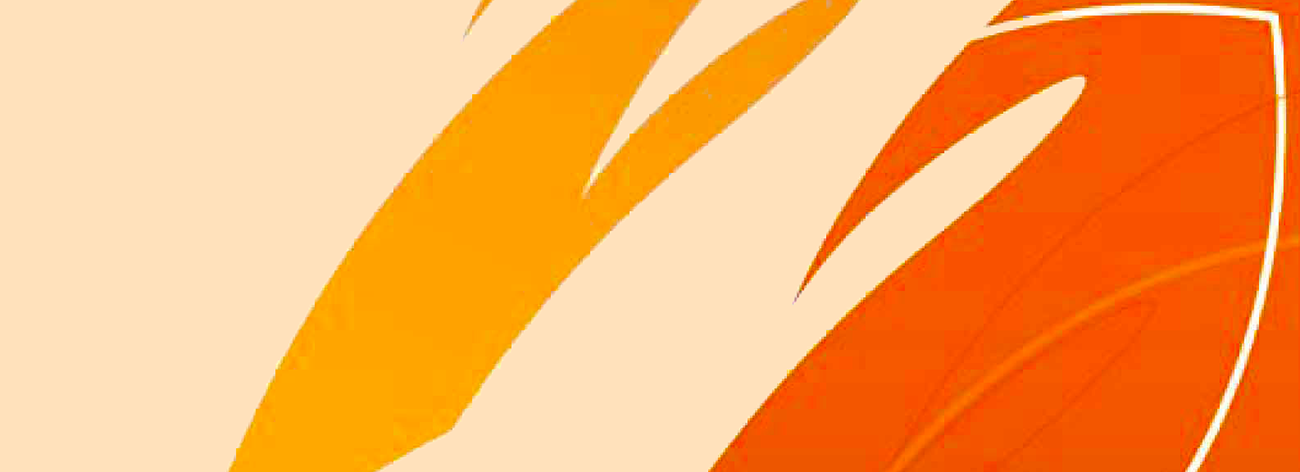 Illustration of an indigenous motive, with orange flame-shaped figures