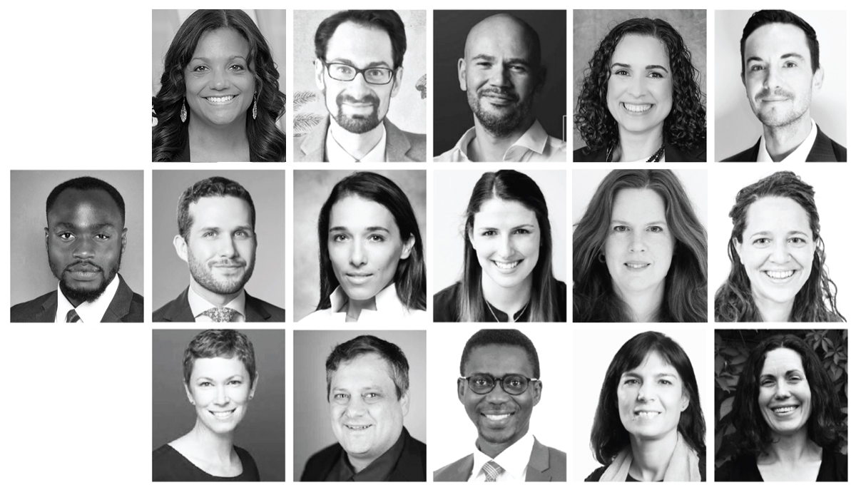 Lincoln Alexander Law faculty