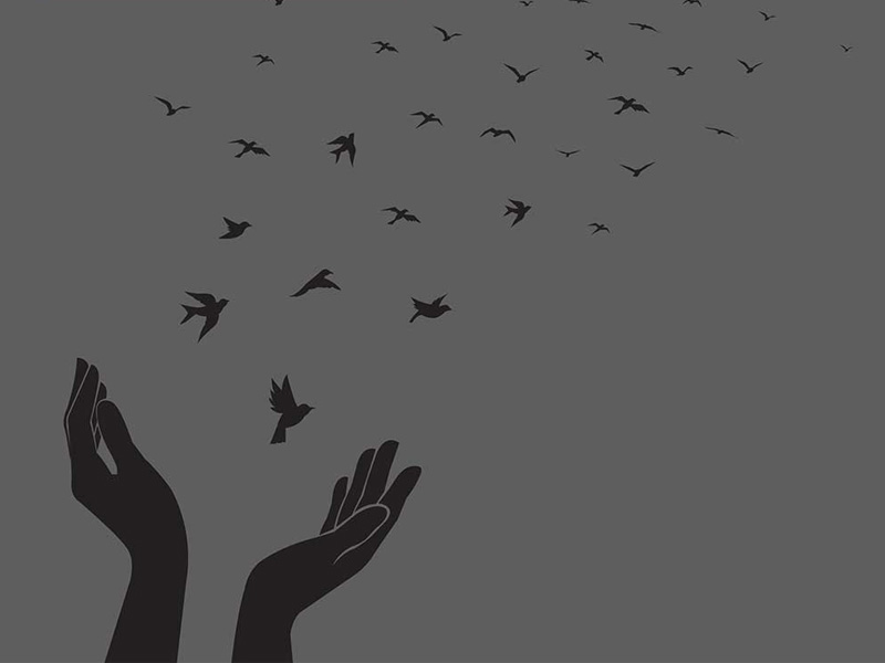 Graphic of hands releasing birds
