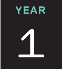 year one icon